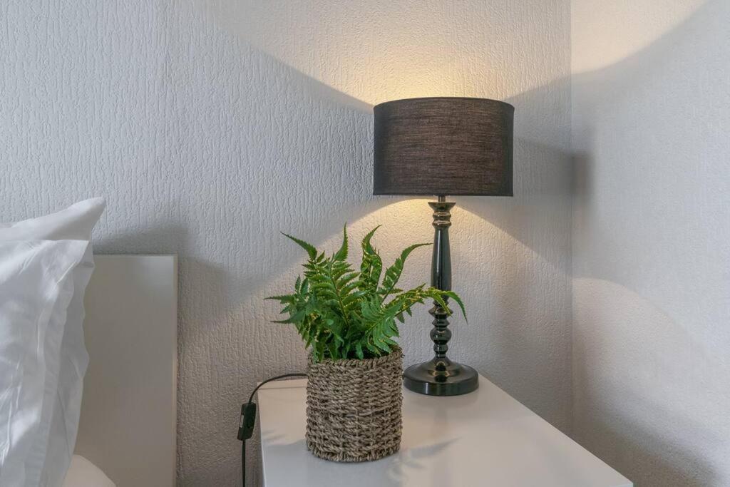 Cosy 2 Bedroom Town House Close To City Centre Belfast Exteriér fotografie